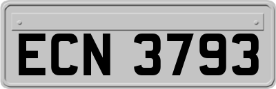 ECN3793