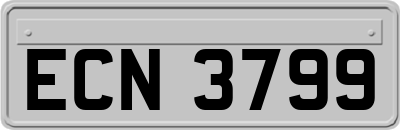 ECN3799