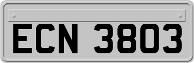 ECN3803