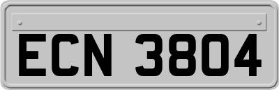 ECN3804