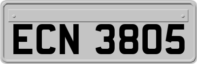 ECN3805
