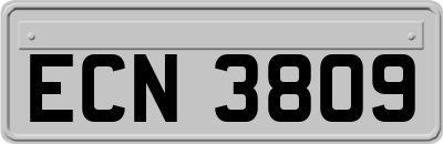 ECN3809