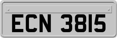 ECN3815