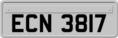 ECN3817
