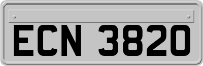 ECN3820