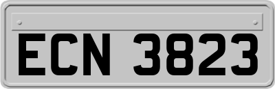 ECN3823