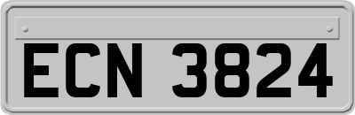 ECN3824