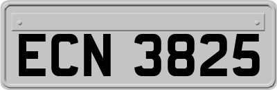 ECN3825