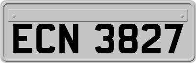 ECN3827