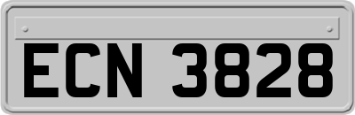 ECN3828