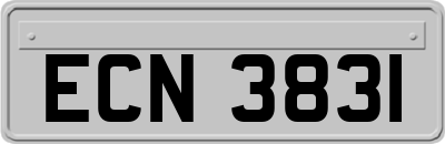 ECN3831