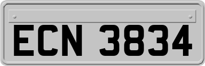 ECN3834