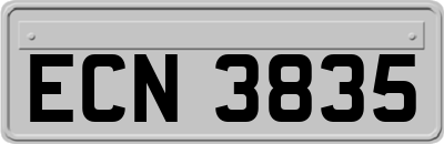 ECN3835