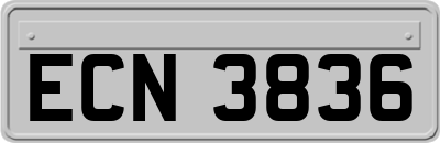 ECN3836