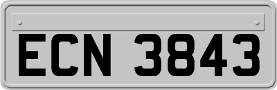 ECN3843
