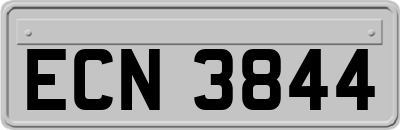 ECN3844
