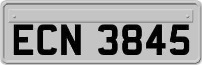 ECN3845