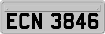 ECN3846