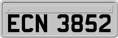 ECN3852