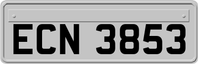 ECN3853