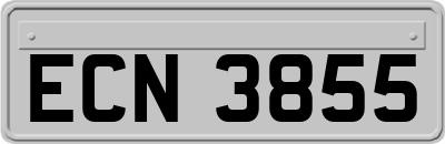 ECN3855