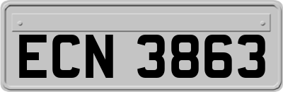 ECN3863
