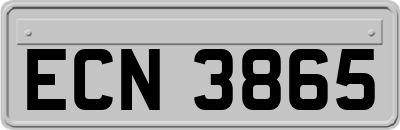 ECN3865