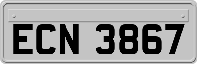 ECN3867