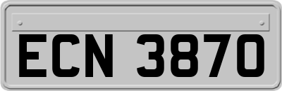 ECN3870