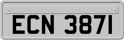 ECN3871