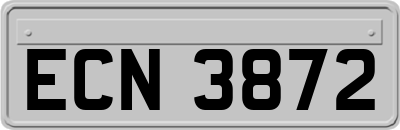 ECN3872