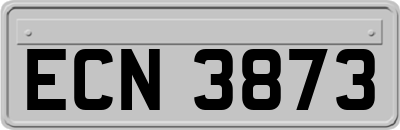 ECN3873