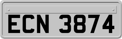 ECN3874