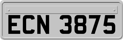 ECN3875