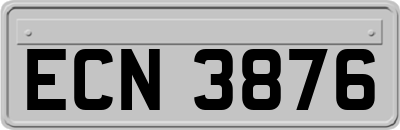 ECN3876