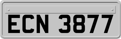 ECN3877