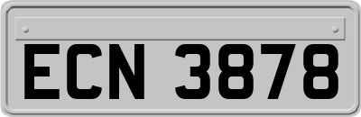 ECN3878