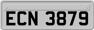 ECN3879