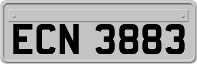 ECN3883