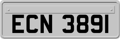 ECN3891