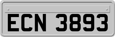 ECN3893