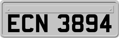 ECN3894