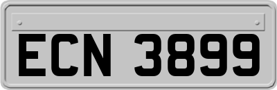 ECN3899