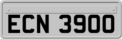 ECN3900