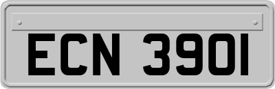 ECN3901