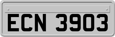 ECN3903