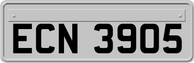 ECN3905