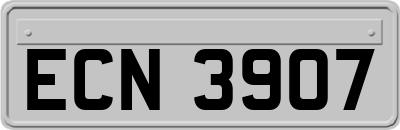 ECN3907
