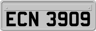 ECN3909