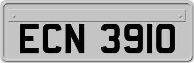 ECN3910